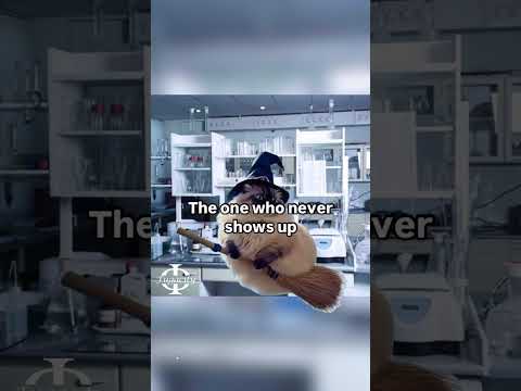 Cats shorts #catsshorts #catlover #trendingshorts #trendingreels #animalshorts #cat #foryou