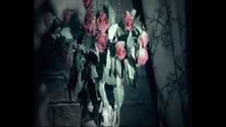 Martin Grech - Guiltless