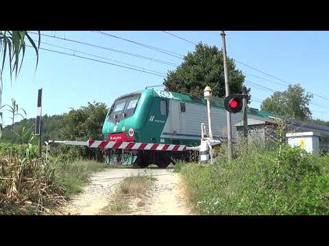 Passaggio a livello KM 22+927 - Castelnuovo Bormida (AL) / Level Crossing / Spoorwegovegang / 踏切