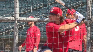Cardinals' Mendlinger providing spark that comes from being overlooked