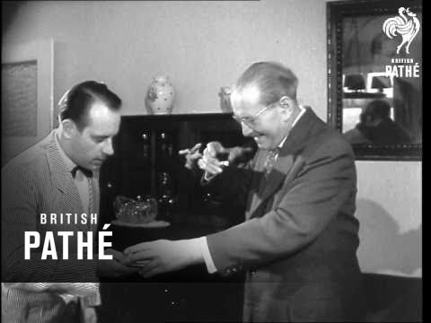 Domestic School (1960)