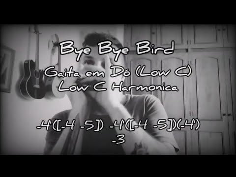 🎶 Bye Bye Bird - Sonny Boy Williamson II (Full Harmonica Tab - Tablatura de Gaita completa)
