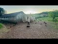Life In The Countryside In Santa Catarina Age Comes And We Can No Longer Do All The Work