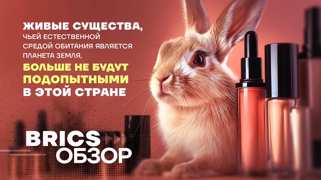 Brazil Bans Animal Testing for Cosmetics, Embracing Advanced Alternatives