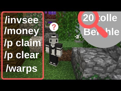 BauSucht Befehle die NOCH NICHT jeder kennt 🤫  [zlegit_DNA]