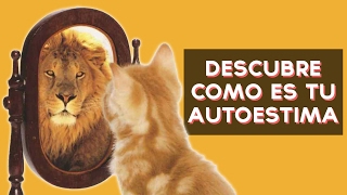 Tienes una autoestima baja? O una autoestima alta? descubre si tu autoestima es baja o alta con este divertido test! ↠↠ ¡No te olvides de suscribirte para no ...