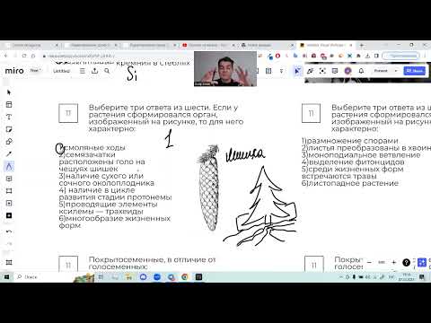 Семенные растения - запись вебинара