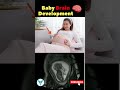 Baby Brain 🧠 Baby brain development 😲 Baby kicks in mothers womb #shorts #pregnancy #baby