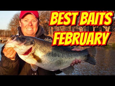 Best Baits for February Bass Fishing