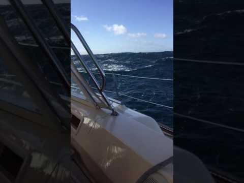 Island Packet 485 in a gale
