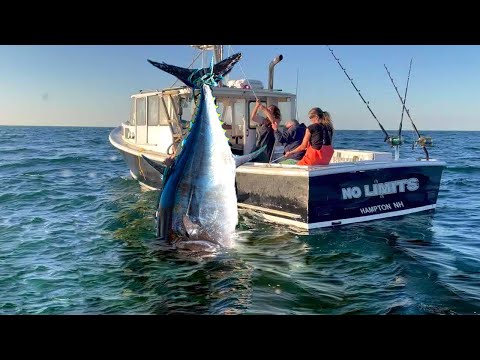 Amazing Fastest Giant Bluefin tuna fishing skills - Caught giant bluefin tuna in the Pacific Ocean