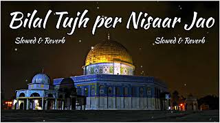 Bilal Tujh per Nisaar Jao  Slowed and Reverb #ghul