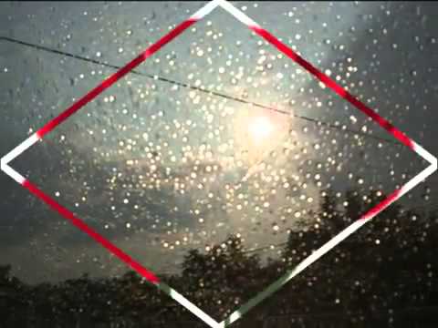 Siw Malmquist   Eine Liebe Wie Im Rosengarten