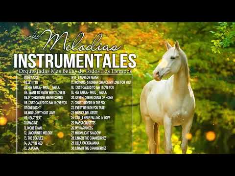 3 Horas Grandes Boleros Orquestados En Piano y Guitarra - Grandes Éxitos Instrumentales