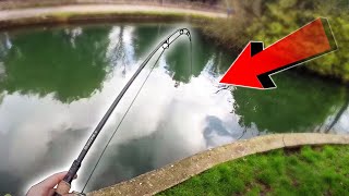 Canal CARP FISHING and a Lake DISCOVERY!