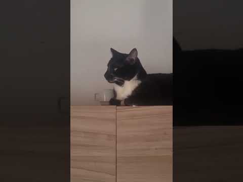 Vídeo de Maria Clara 