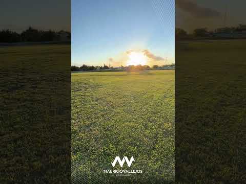 Lima, Zarate, Buenos Aires