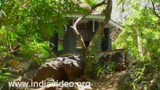 Ranganathittu Bird Sanctuary, Mysore 