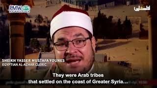 Mustafa Younes on TV