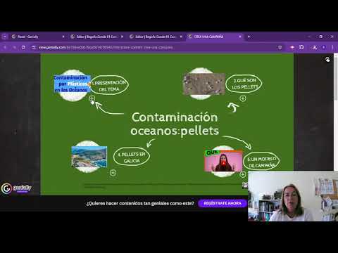 Entrega dos básica y profundización