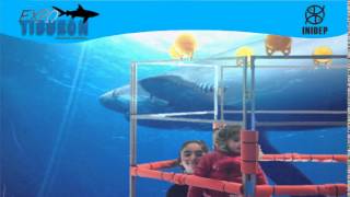 DIA 2 Expo Tiburon286