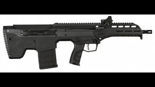 The Division 2 – Urban MDR Rifle