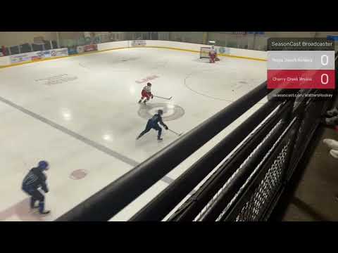 8/24/2024 - JV Regis Jesuit Raiders vs. Cherry Creek Bruins