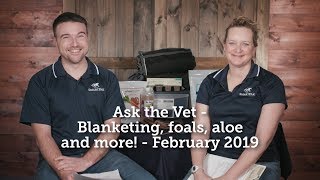 Ask the Vet - Blanketing, foals, aloe and more! - February 2019