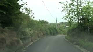 cinghiali-scatenati-scavano-e-danneggiano-le-scarpate