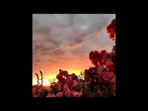 free // nothing, nowhere x guardin midwest emo type beat - "i think i killed depression" (+ jolst)