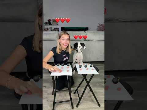 Quién ha ganado?😂