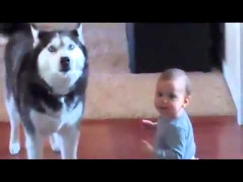Kids Communicate with DOG