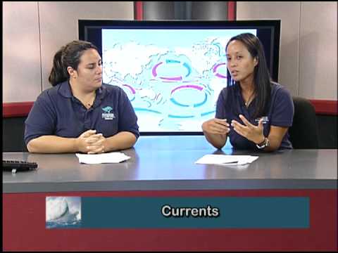 BIO190  Session 1  Fall 2012