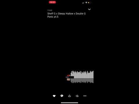Sheff G x Sleepy Hallow x Double G Unreleased Panic.5