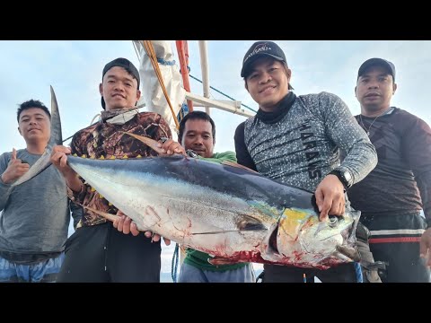EP814-P2 - Day 2 of Tuna Series