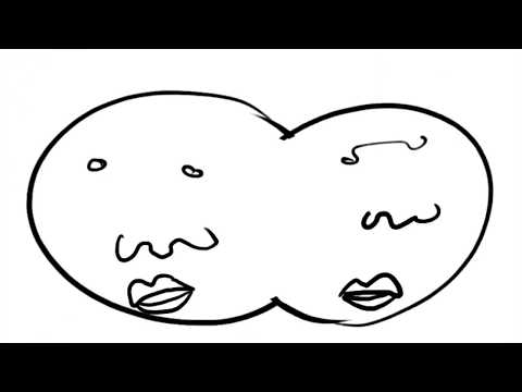 Video thumbnail xdkpxZOSrH0