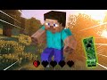 Can I Please Just Survive 1 Night!!! Minecraft Hardcore