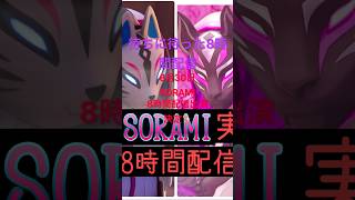 2026年8月29日