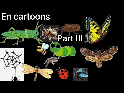 Animals Book Version Collection // part III - en cartoons