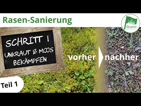 Renewing your lawn | Restoration Step 1 - Fighting weeds and moss (Part 1)