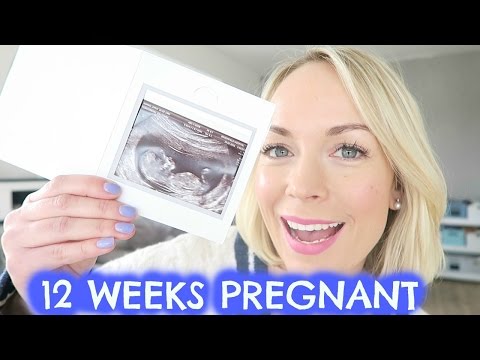 12 WEEKS PREGNANT UPDATE  |  EMILY NORRIS