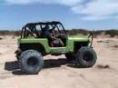Desert Lizards Gecko FJ Cruiser Jeep CJ SAC 9 30 07