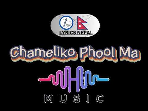 Maya Basecha - Chameliko Phool Ma | Nepali Movie Song | #@lyricsnepal12
