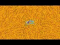 Snake Io Lovely Snake PRO Skill Epic Snake Io Fun Gameplay