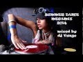SUMMER DANCE MEGAMIX 2014 