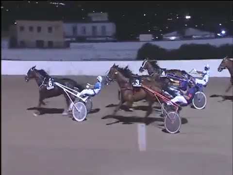 Trotto 26/08/2017 - 7ª corsa