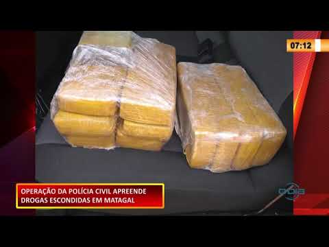 Operação policial civil apreende drogas escondidas em matagal 11 11 2020