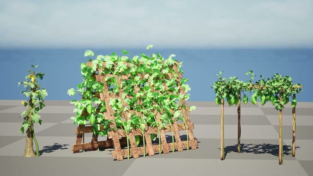 Confezione di edera per piante di zucca amara Modello 3D