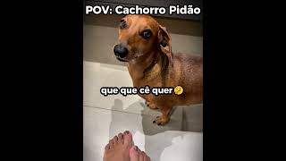 Tem horário pra fazer xixi 🐶😭 #engraçado #humor #shorts