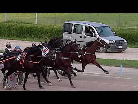 Aversa trotto 14 Ottobre 2020 - 7° Corsa